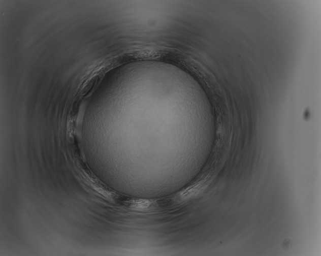 X0000094370096200711242009