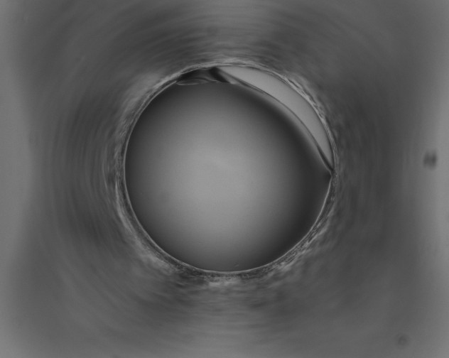 X0000094370097200711242009