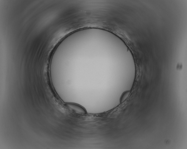 X0000094370098200711242009