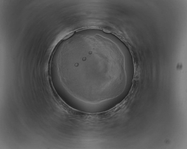 X0000094370099200711242009