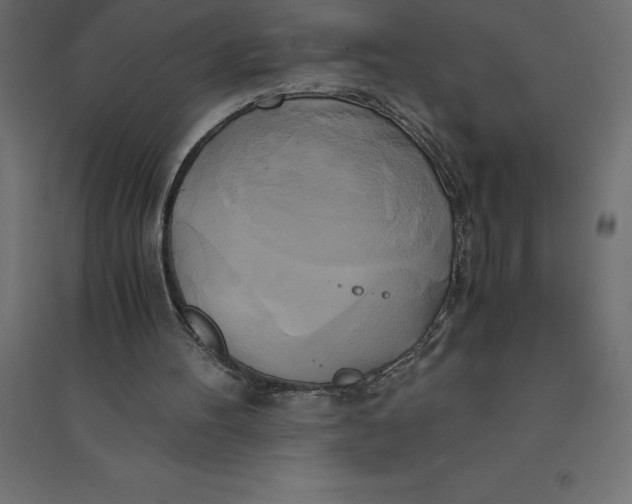 X0000094370100200711242008