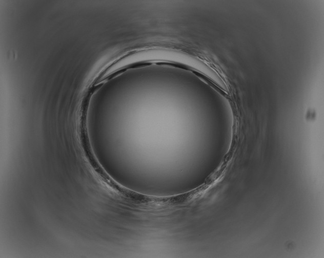 X0000094370101200711242008