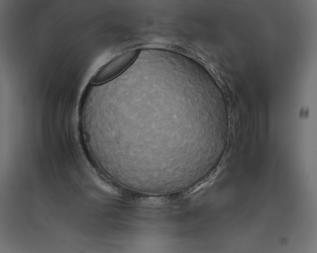 X0000094370102200711242008