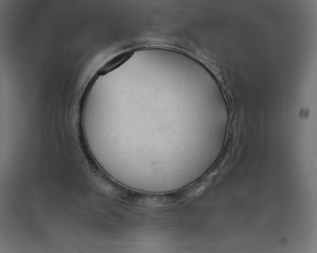 X0000094370103200711242008