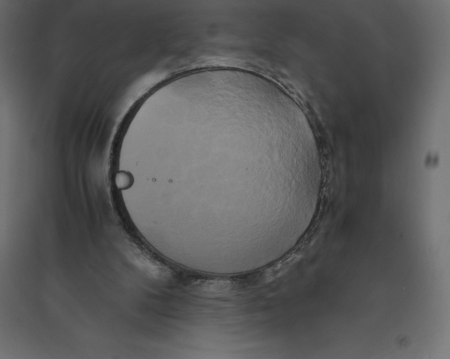 X0000094370104200711242008