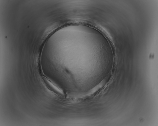 X0000094370105200711242008