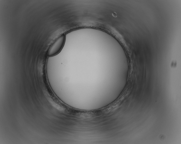 X0000094370106200711242008