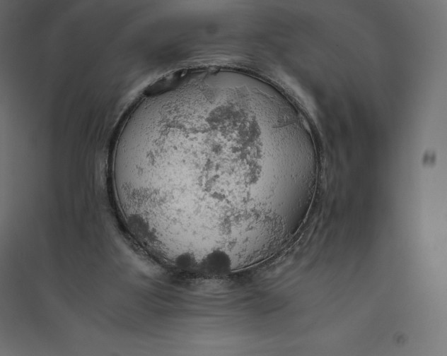 X0000094370107200711242008