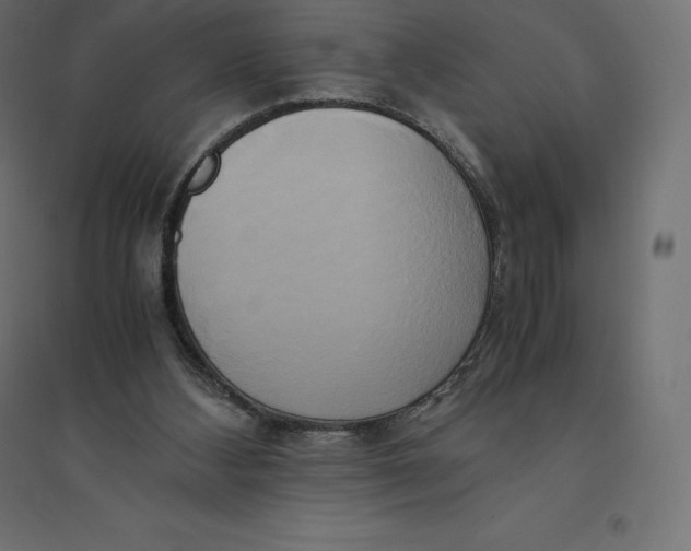 X0000094370108200711242008