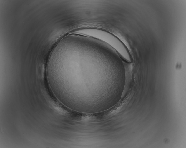 X0000094370109200711242008