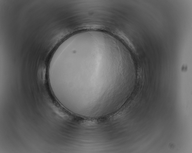 X0000094370110200711242008