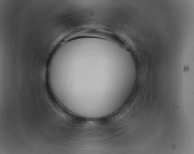 X0000094370111200711242008