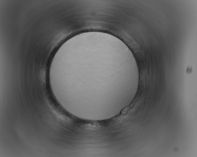 X0000094370112200711242008