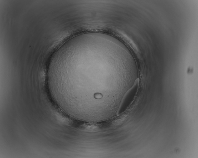 X0000094370113200711242008