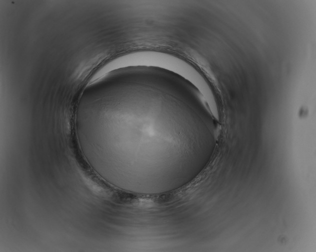 X0000094370114200711242008