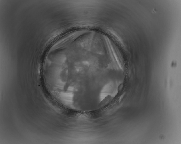 X0000094370115200711242008