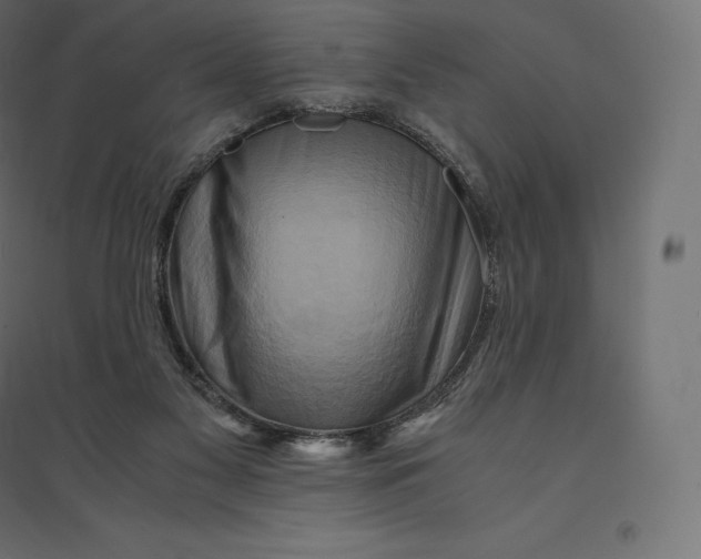 X0000094370117200711242008