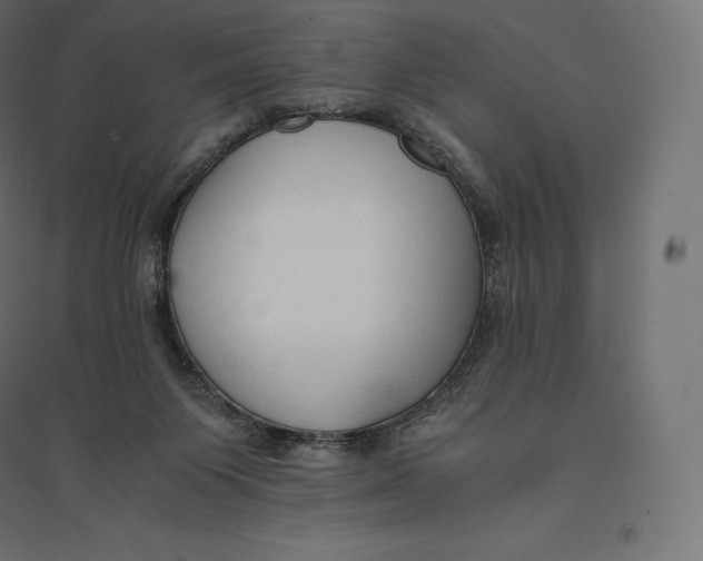 X0000094370119200711242008