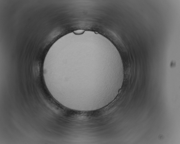 X0000094370120200711242008