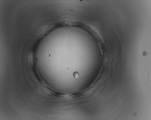 X0000094370121200711242008