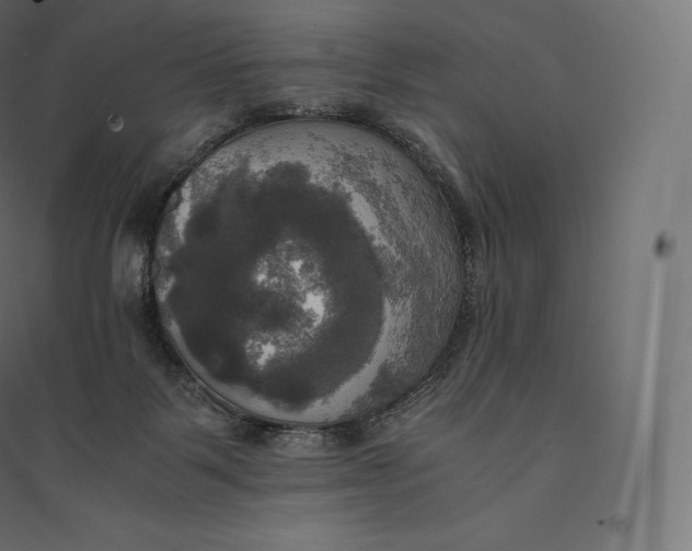 X0000094370123200711242008