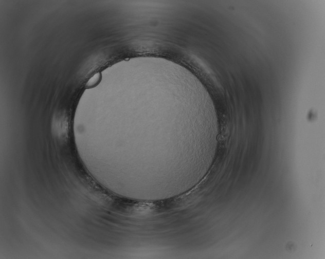 X0000094370124200711242008