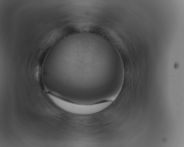 X0000094370125200711242008