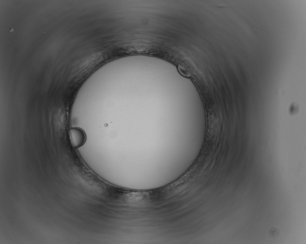 X0000094370126200711242008