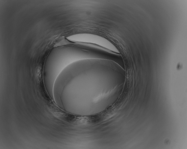 X0000094370127200711242008