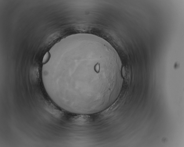 X0000094370128200711242008