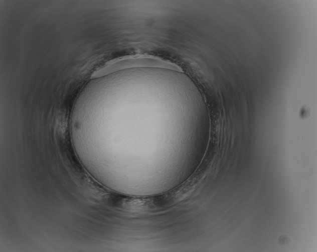 X0000094370129200711242008