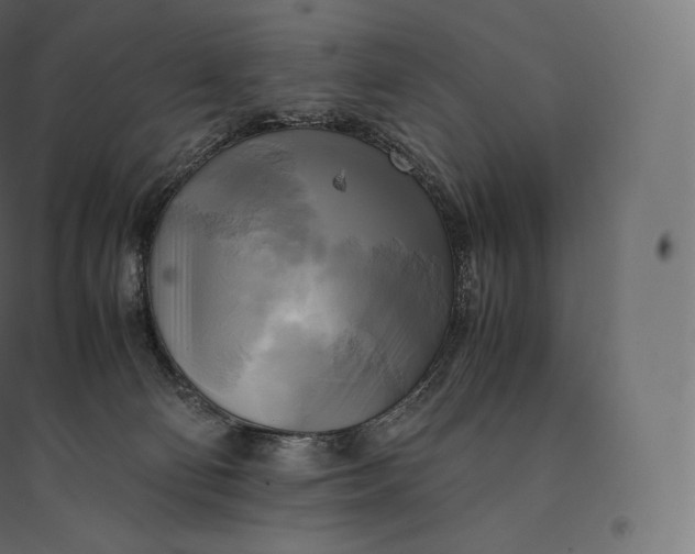 X0000094370130200711242008