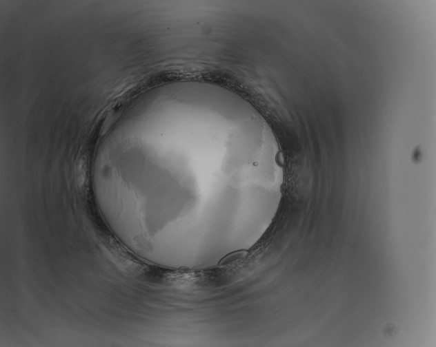 X0000094370131200711242008