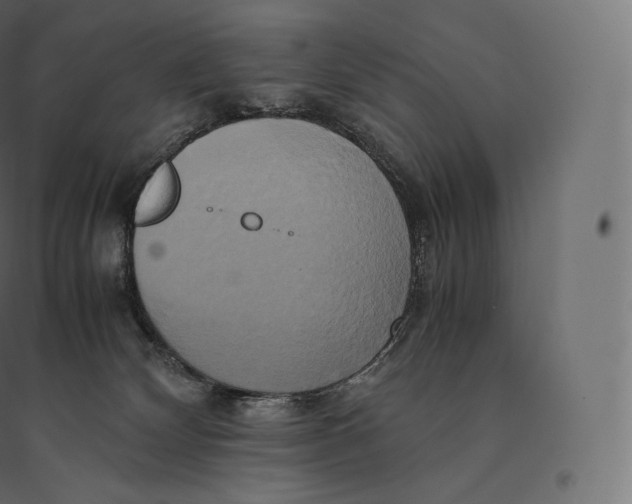 X0000094370132200711242008