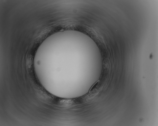 X0000094370133200711242008