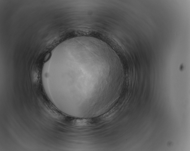 X0000094370134200711242008