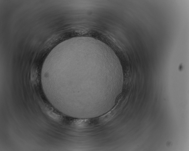 X0000094370136200711242008