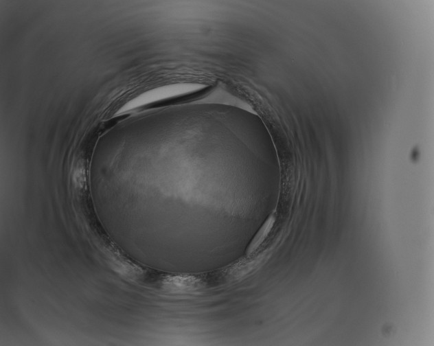 X0000094370137200711242008