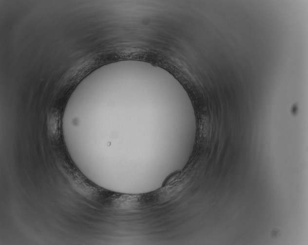 X0000094370138200711242008