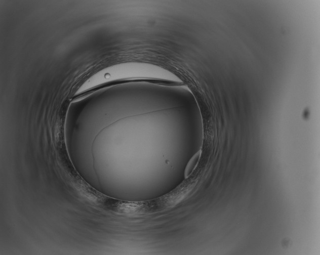 X0000094370139200711242008