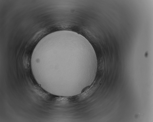 X0000094370140200711242008