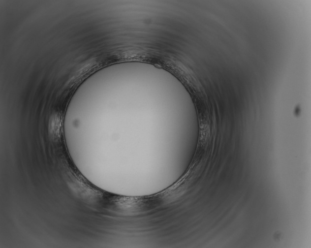 X0000094370142200711242008