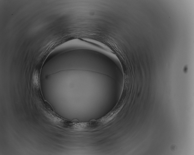 X0000094370143200711242008