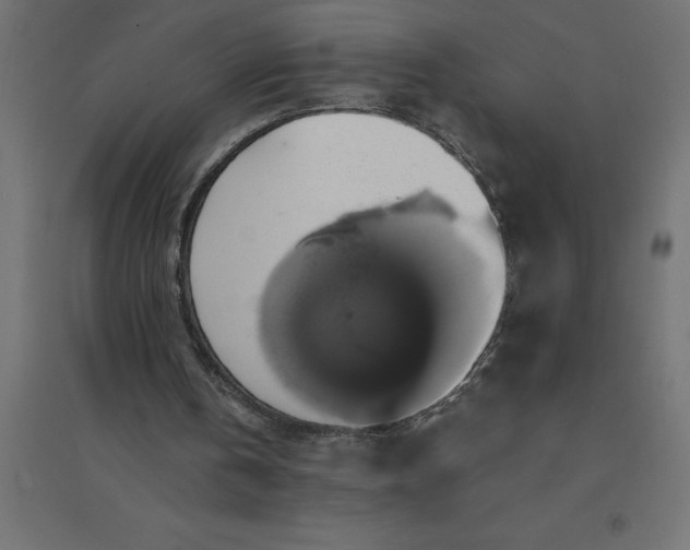 X0000094370146200711242007