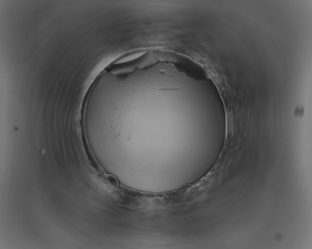 X0000094370147200711242007