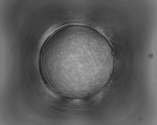 X0000094370151200711242007