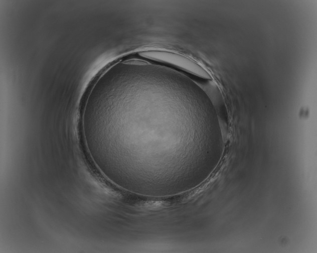 X0000094370152200711242007