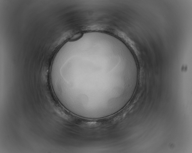 X0000094370153200711242007