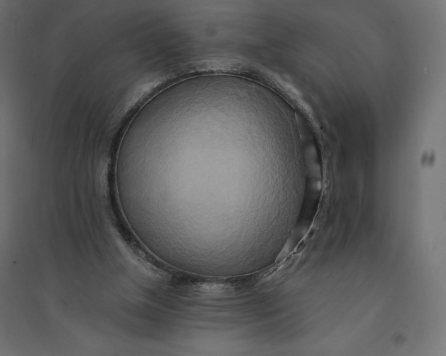 X0000094370154200711242007