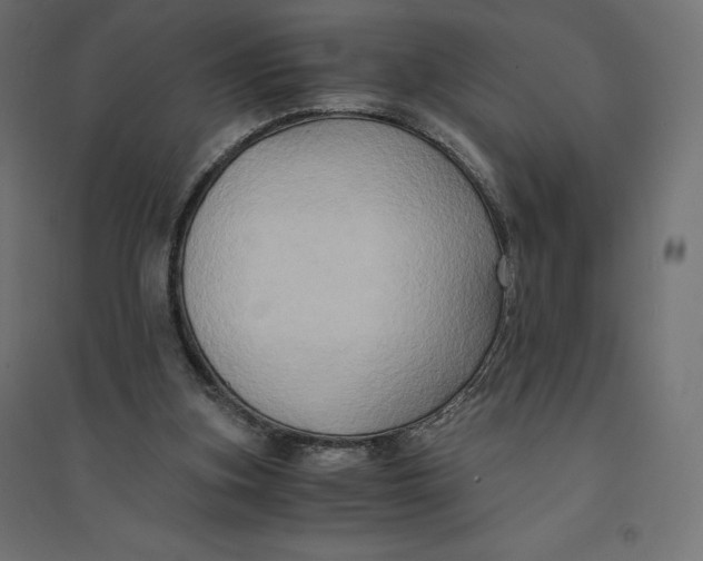 X0000094370155200711242007